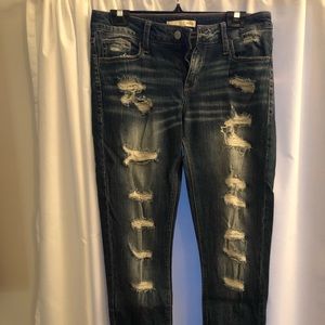 Day trip jeans Lynx (mid rise) skinny